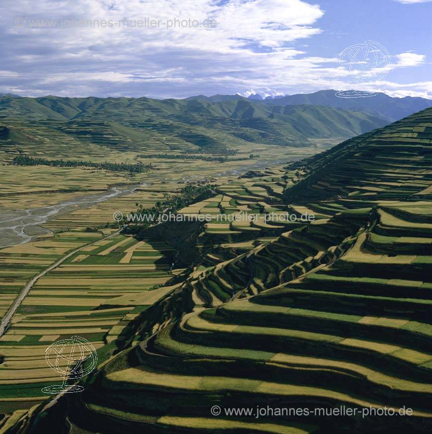 Ackerterrassen im Lss mit Kartoffel- und Gersteanbau, Gansu/Lssplateau (China) [00223-L-14]